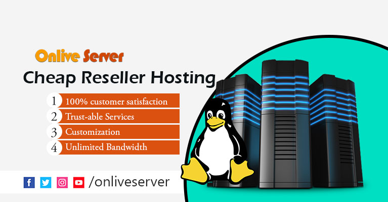 Make Extra Income with Cheap Reseller Hosting – Onlive Server