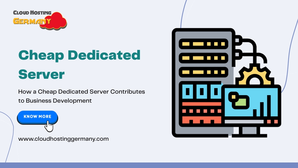 How a Cheap Dedicated Server Contributes to Business Development
